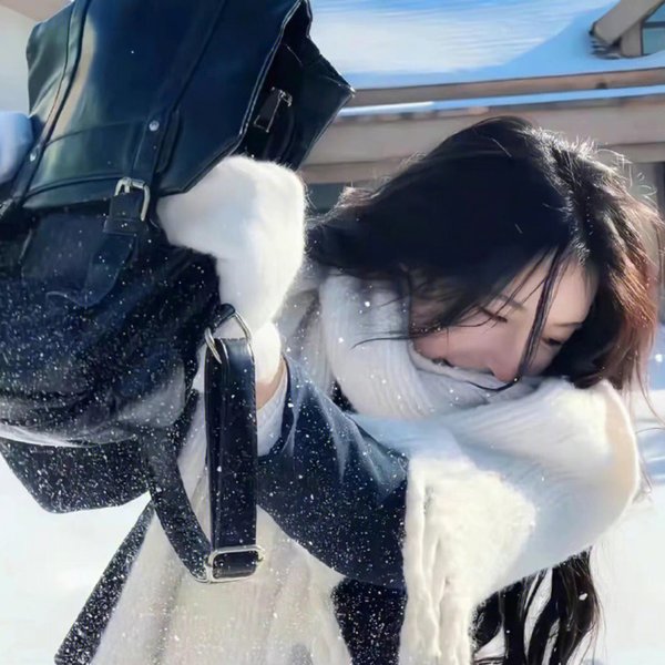 大人物拿破仑